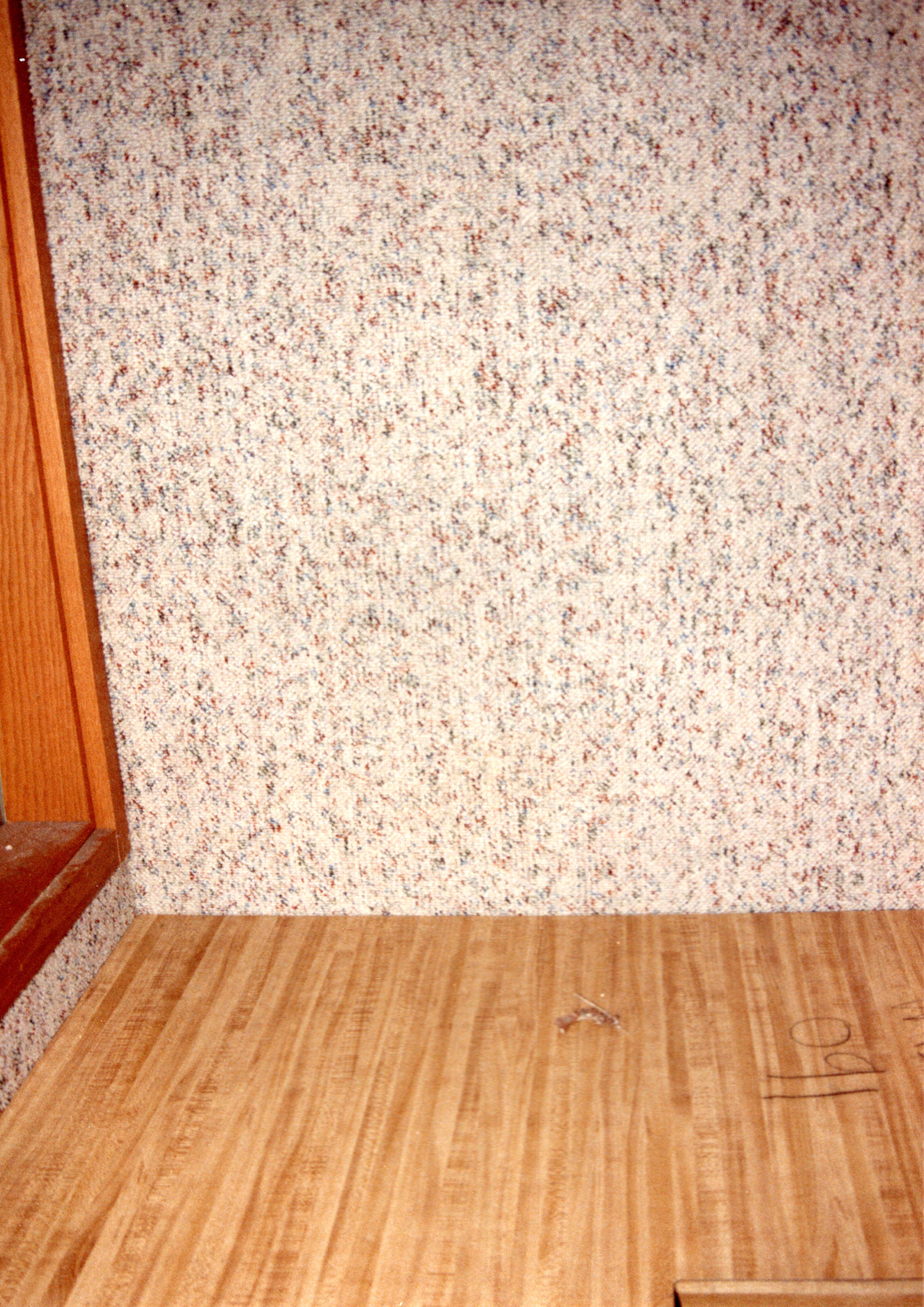 1988 The Over Crowded Record Library